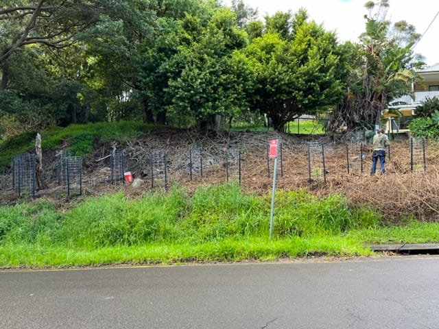 Join a local Bushcare group post image