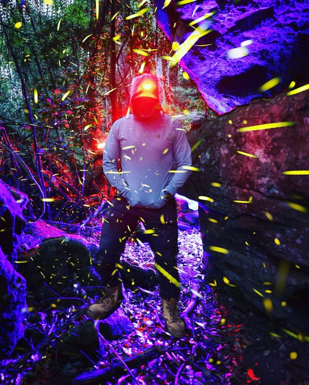 The magic in Macquarie Pass and why you shouldn't miss it post image