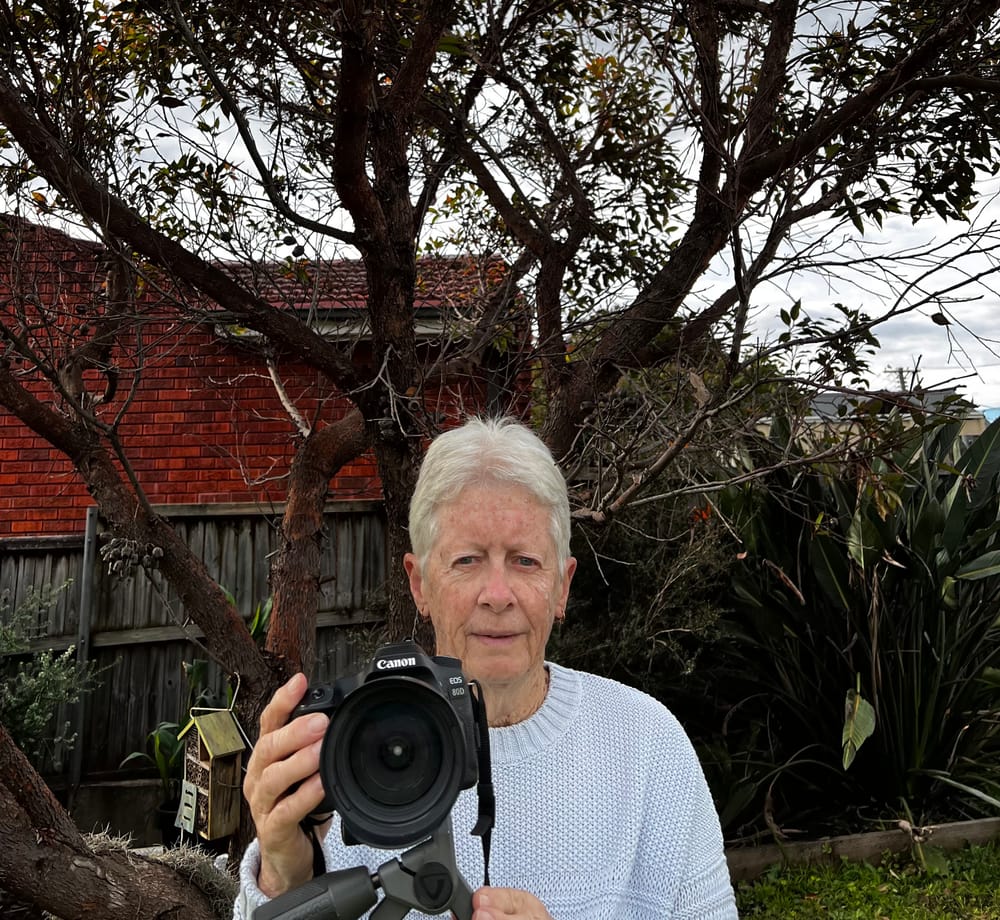 My 3 favourite places to take nature photos post image