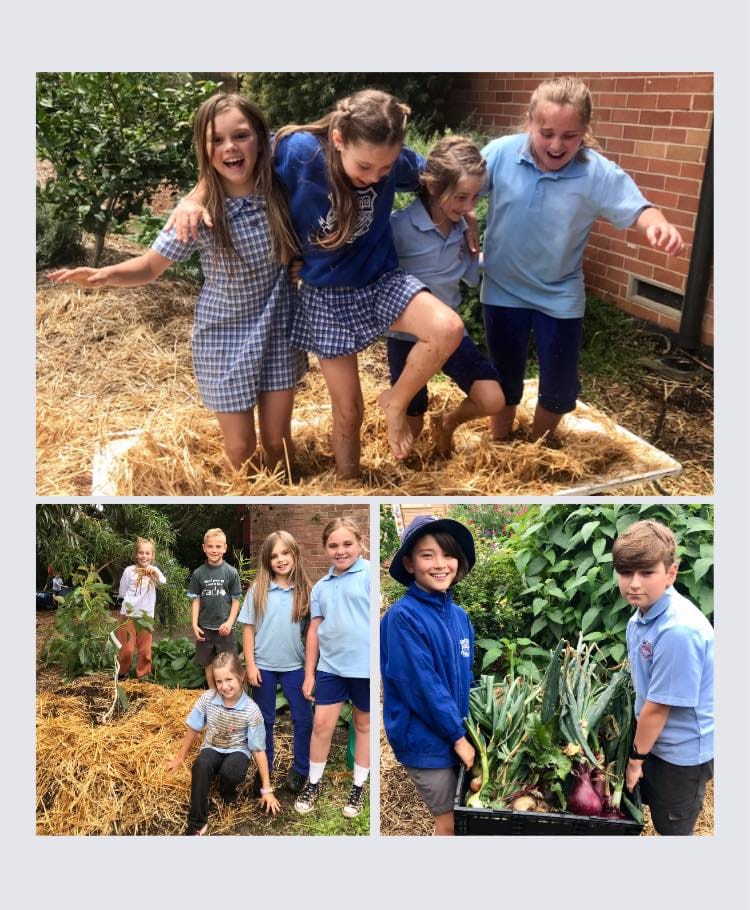 From Living Classroom to Tiny Forest post image