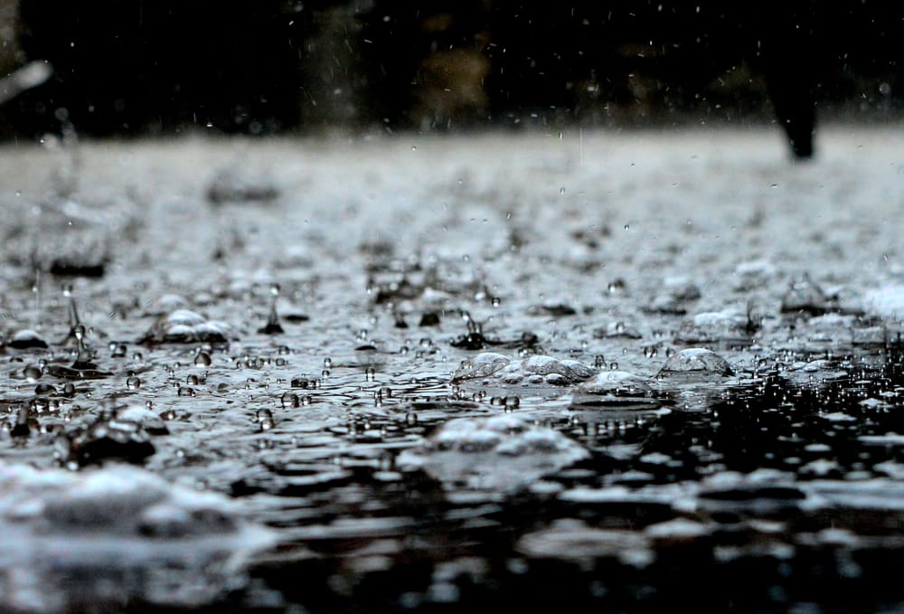 Of droughts and flooding rains post image