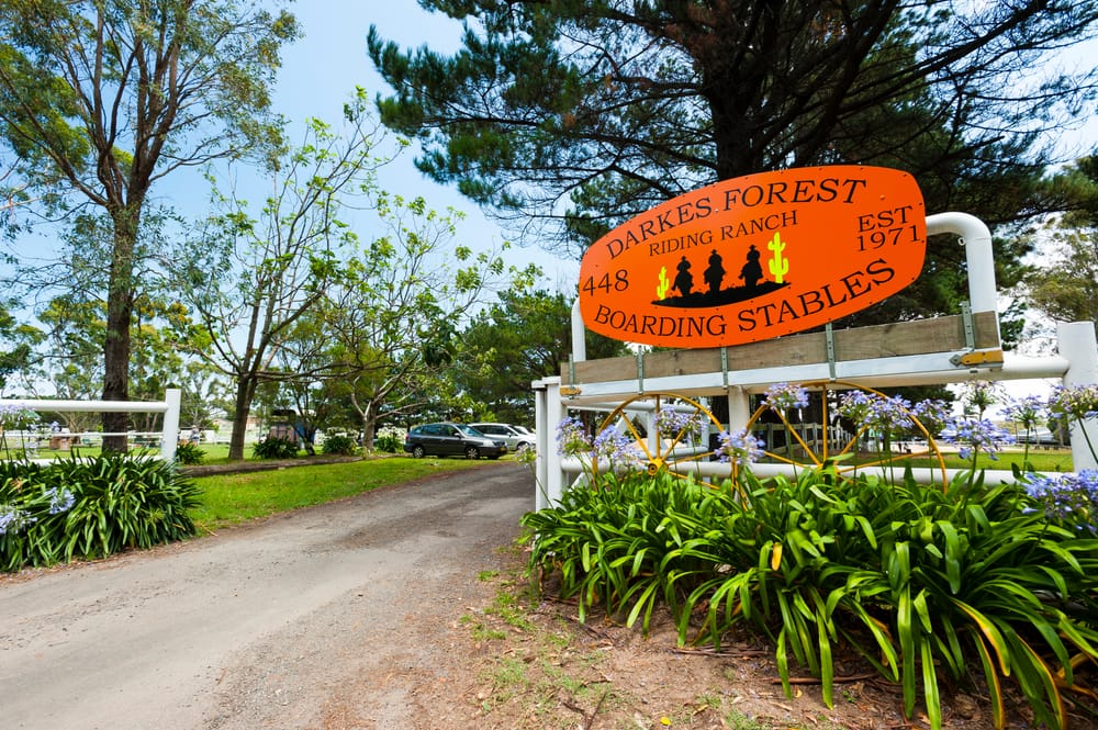 Help the riding ranch post image