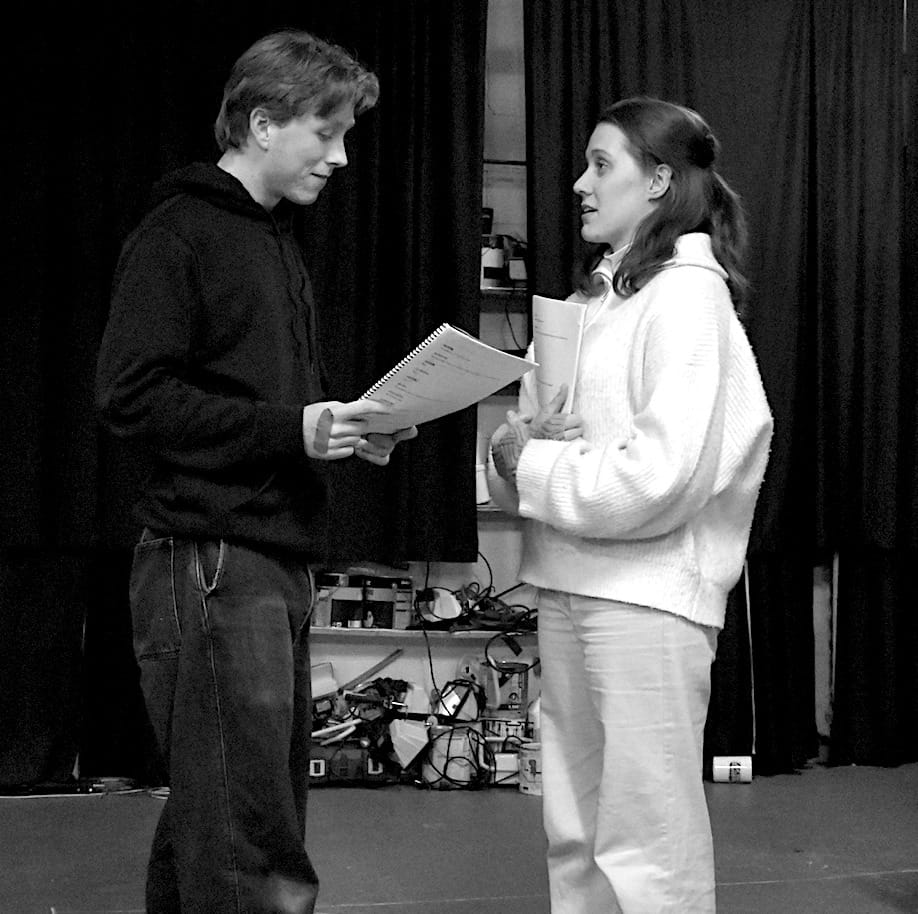 Behind the Curtain with Dire Theatre post image