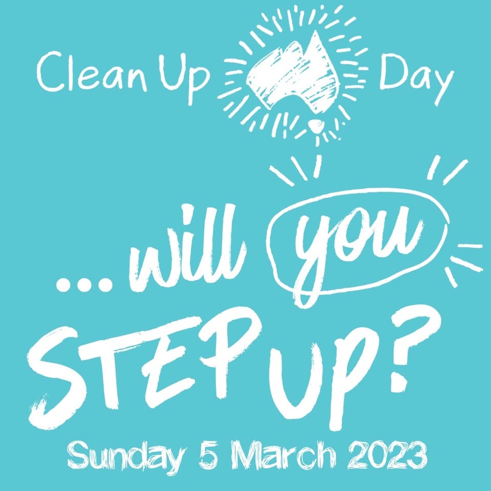 Landcare cleans up post image