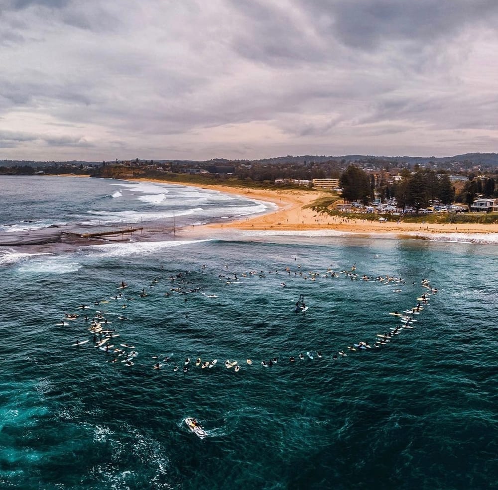 Innovative tech to replace shark nets post image