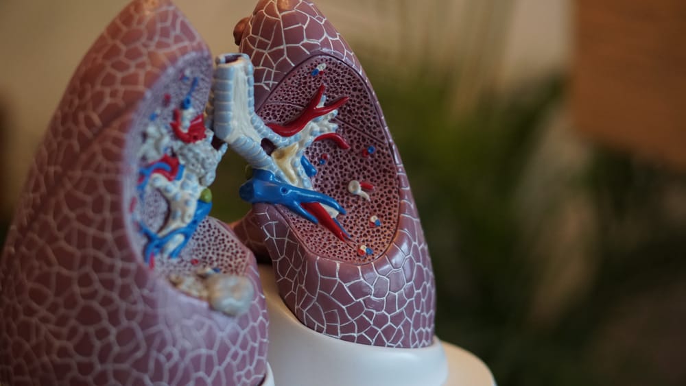 Raising Asthma Awareness post image