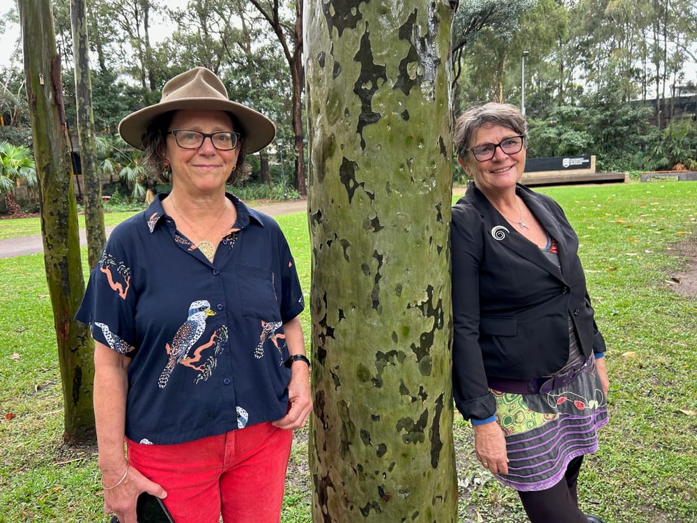 New Campus Tree Walk a golden opportunity to celebrate UOW’s 50th anniversary post image