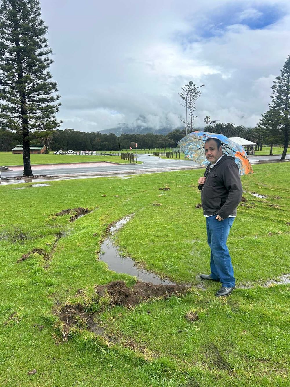 Vandals strike again at Stuart Park in 'selfish, reckless' act post image