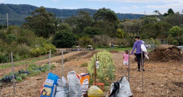 Discover Woonona Community Garden post image