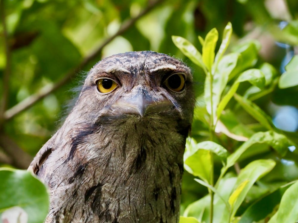 Welcome to the last Wild Wednesday newsletter of 2022! post image