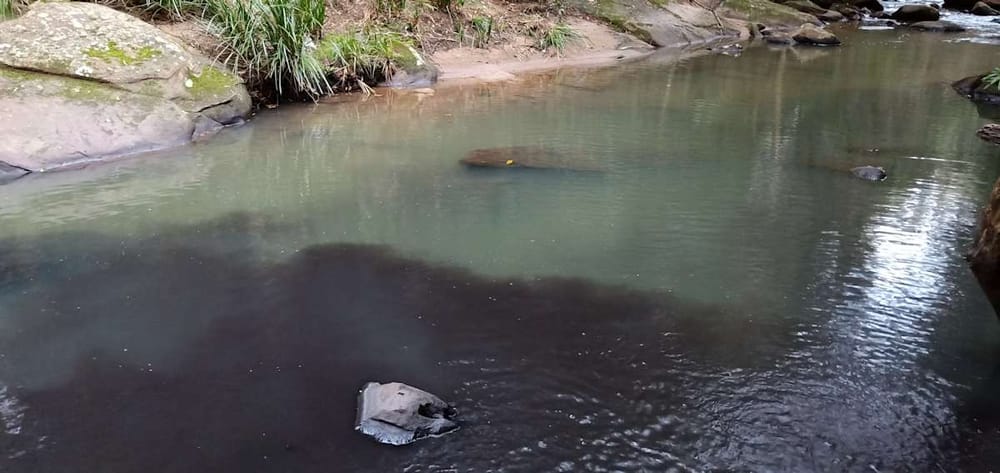 Camp Gully Creek pollution – a year on, what has changed? post image