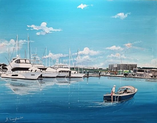 Anthony Langlands is Shellharbour City Council’s Artist of the Month post image