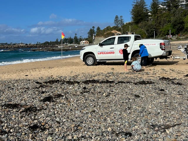 What's happened to Wollongong's most loved beach? post image