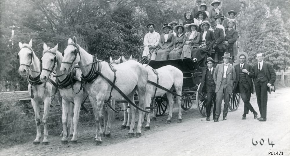 Coming down the mountain post image