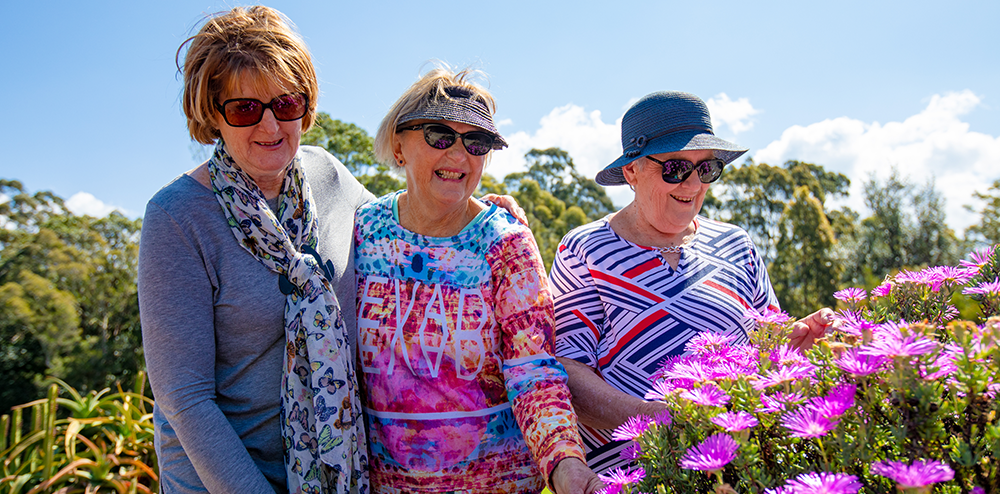 Seniors Festival back for 2022! post image