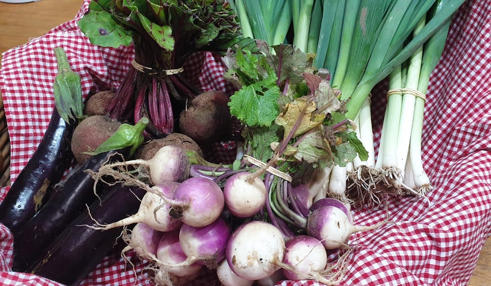 What is Food Fairness Illawarra? post image