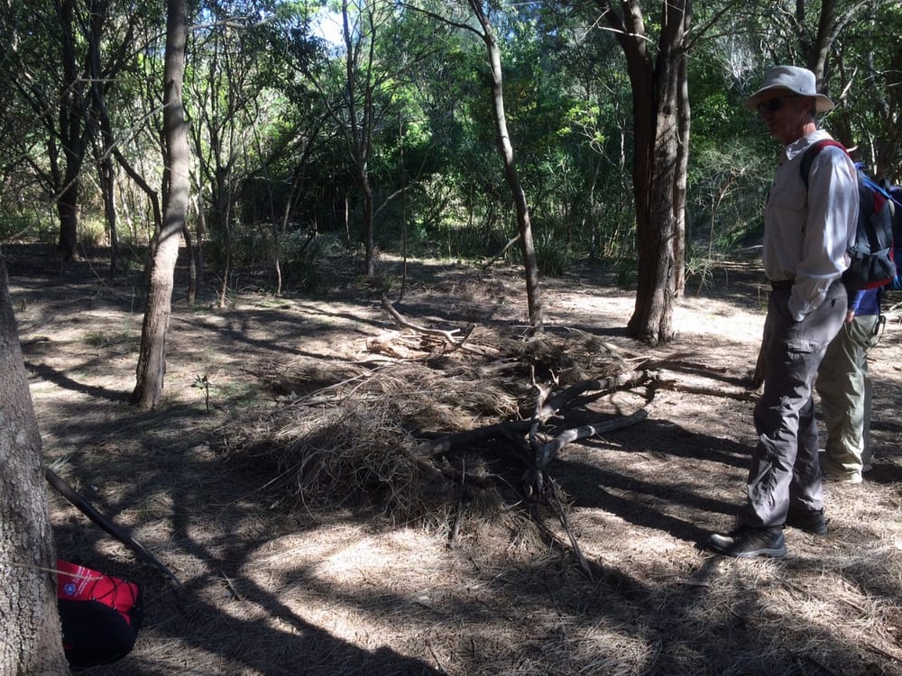 Bushcare work undone post image