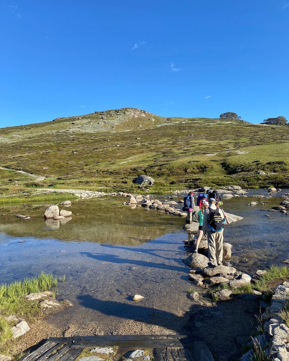 Discover what Scouts is all about post image