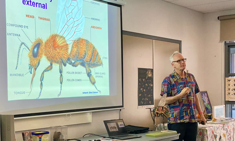 The Illawarra branch of the Native Bee Association buzzes to life post image