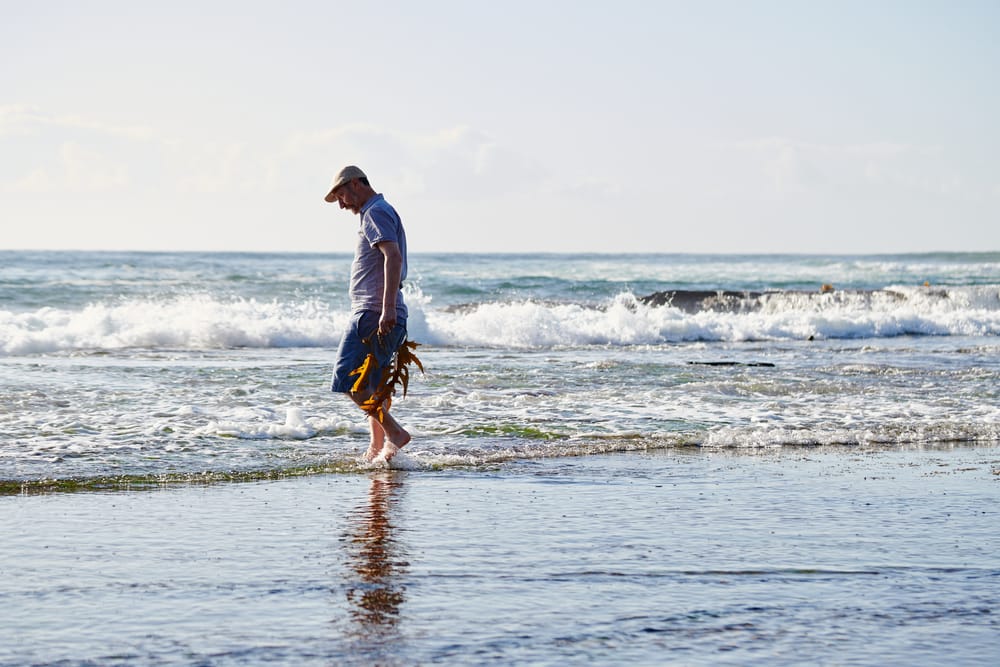 Join Diego 'The Weedy One' Bonetto for dinner post image