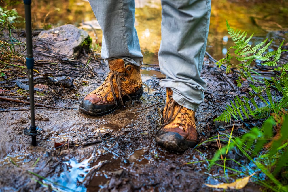 Luxury hiking developments look picture-perfect, but could stop everyday Australians from accessing national parks post image