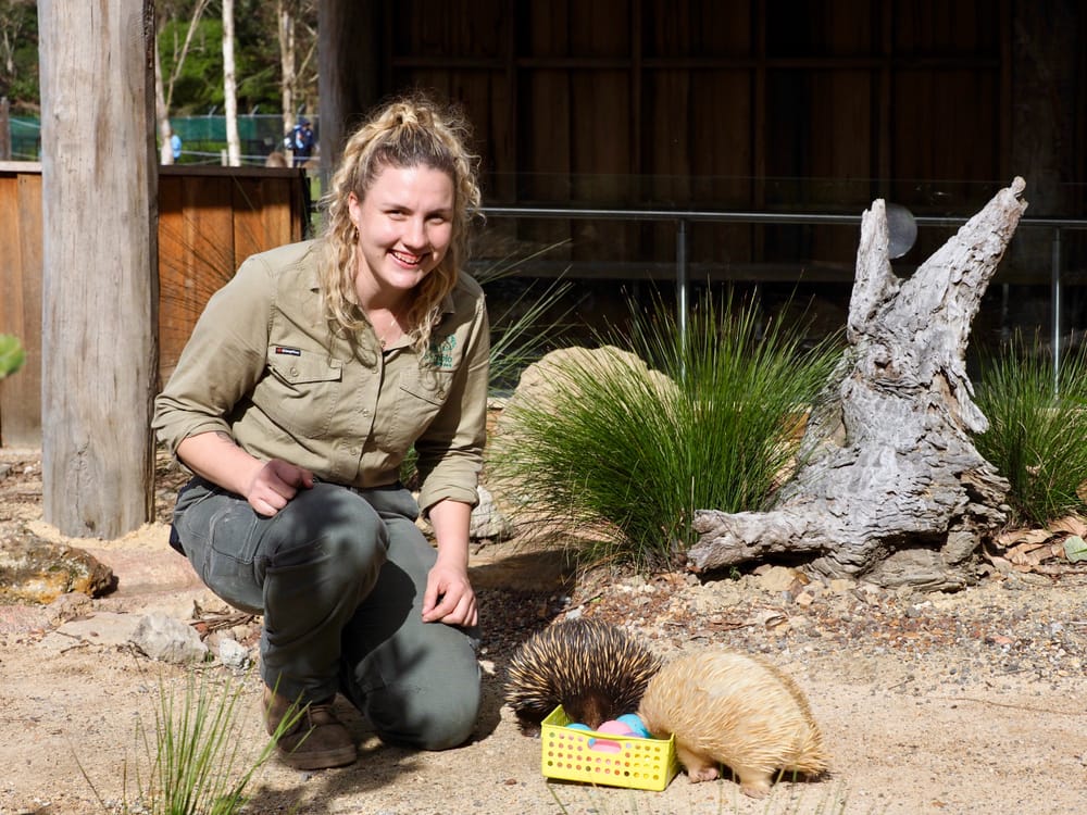 Meet a keeper: Zoe Ridge post image