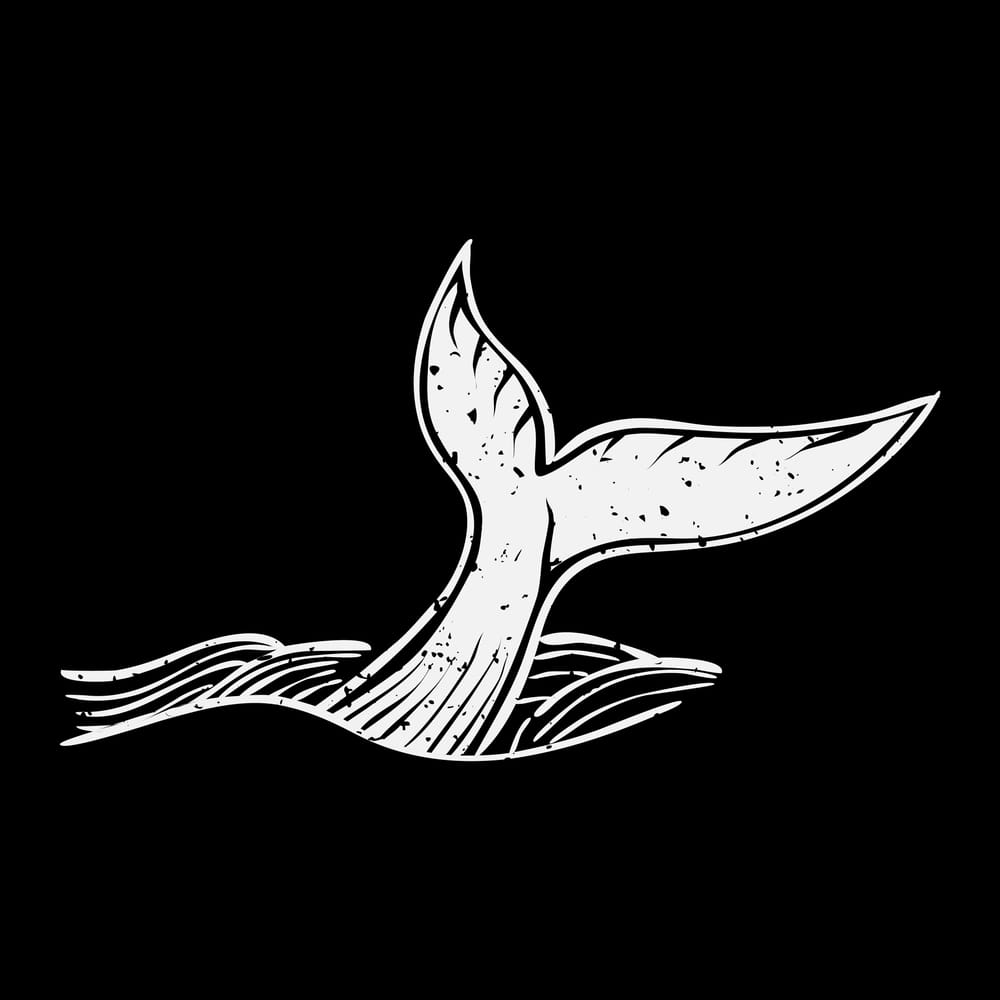 Humpback whales hold lore for Traditional Custodians. But laws don’t protect species for their cultural significance post image