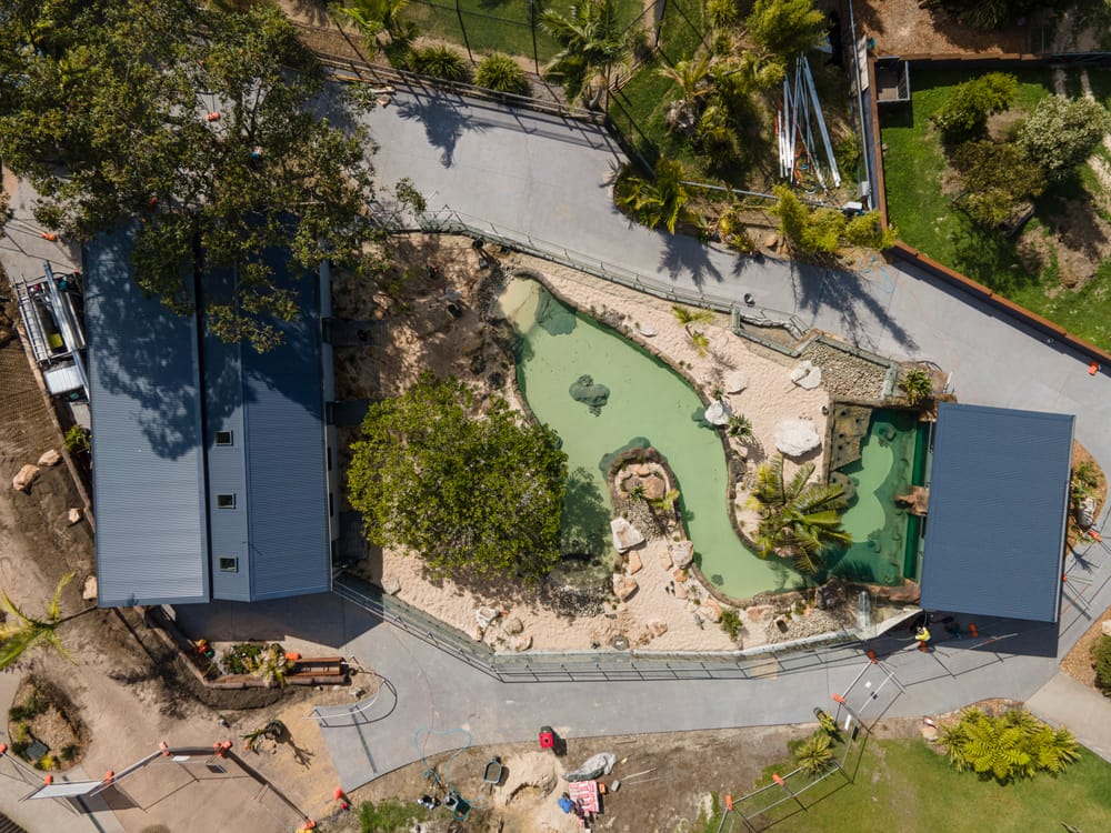 Penguins are coming to Symbio Wildlife Park! post image