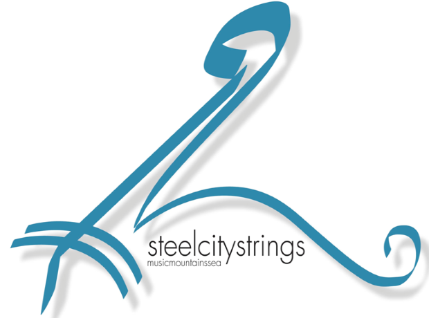 Steel City Strings needs an Operations Manager post image