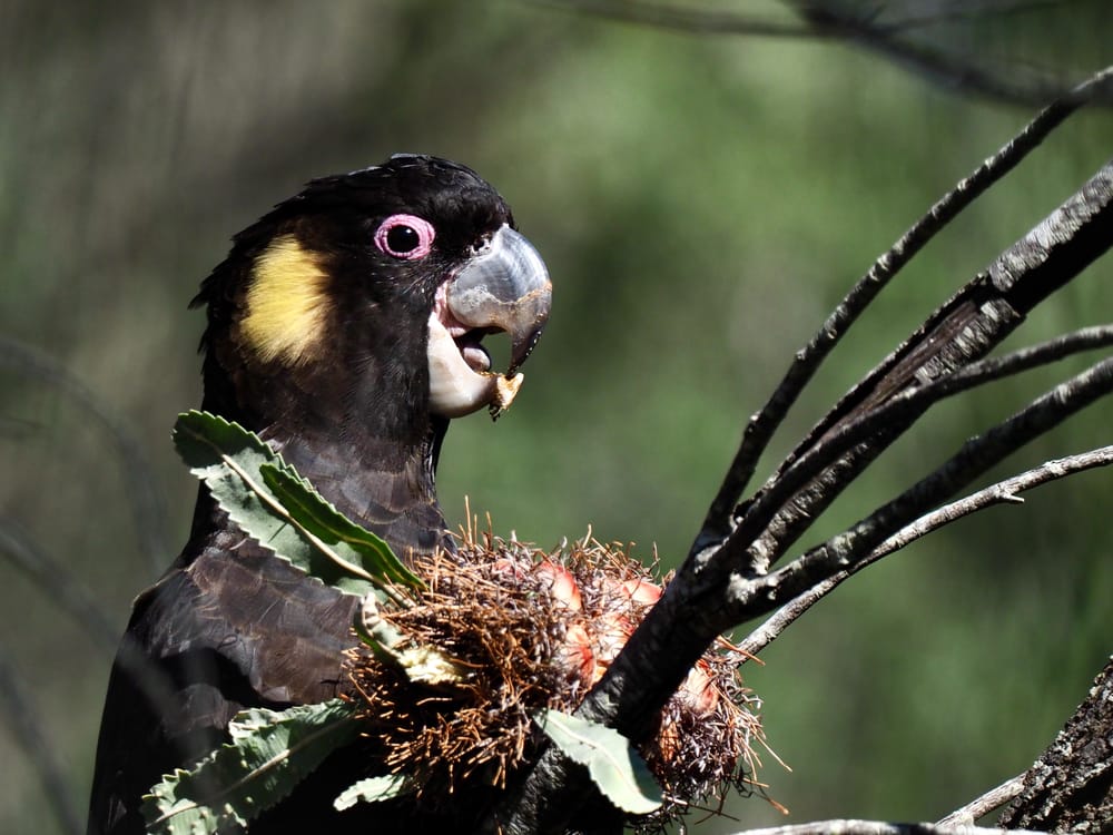 A beautiful time machine post image