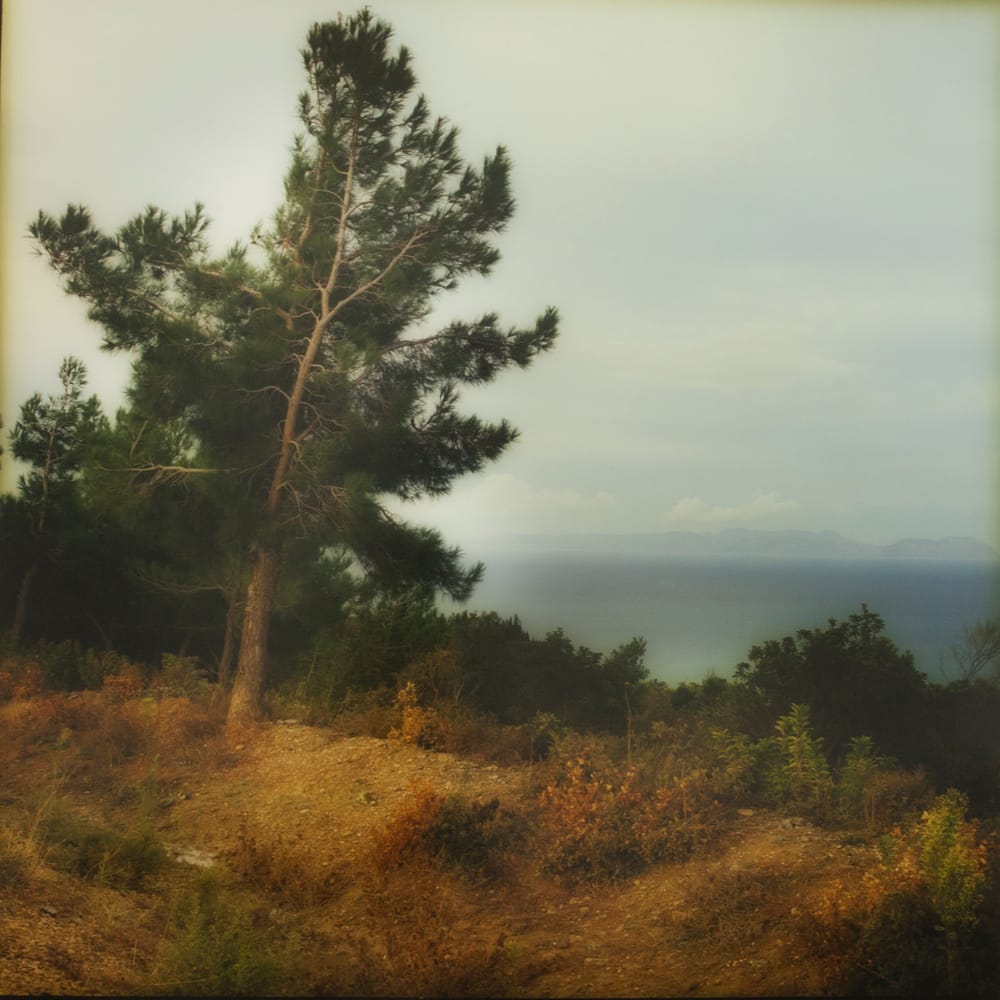 Their names upon Gallipoli post image