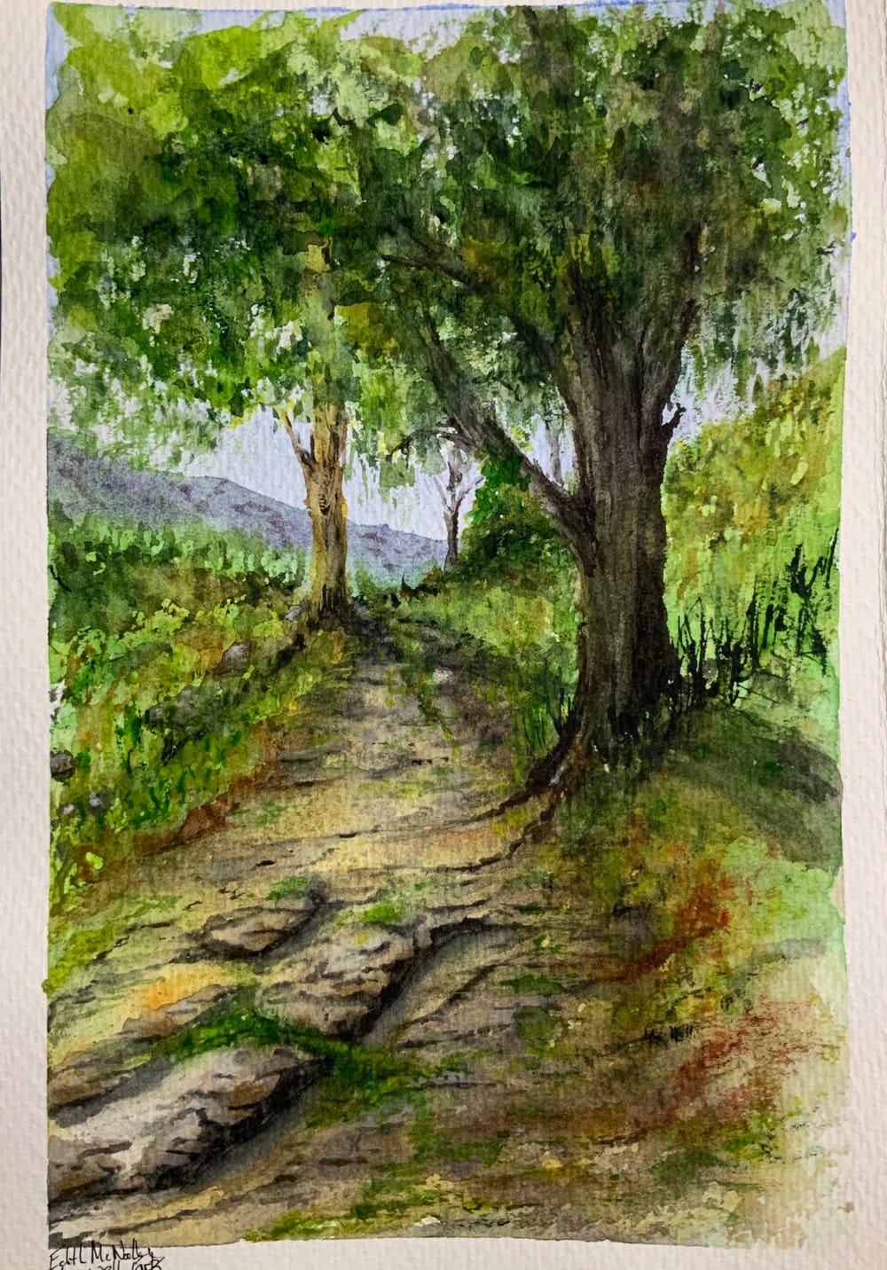 Walk this way: Edith's favourite hikes post image