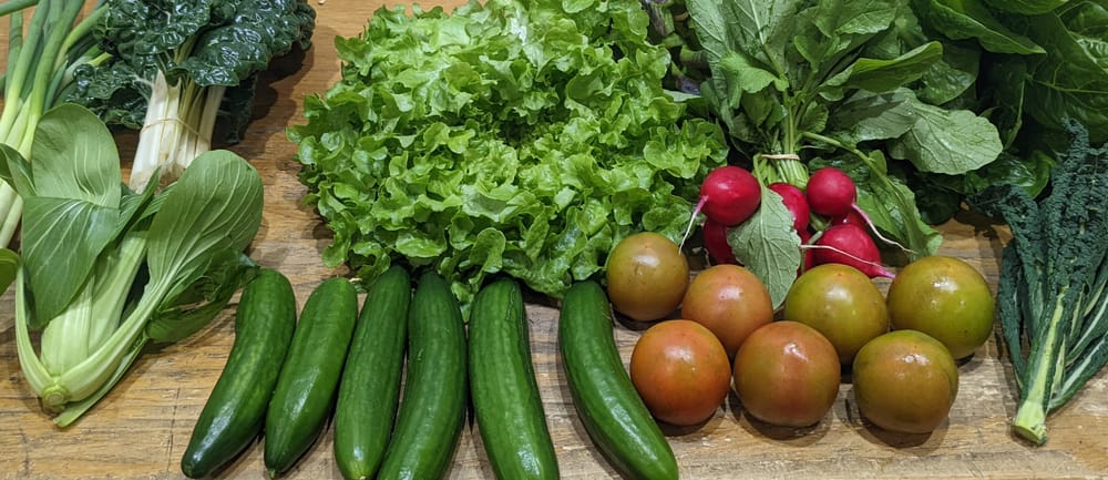 Food sustainability in the Illawarra post image