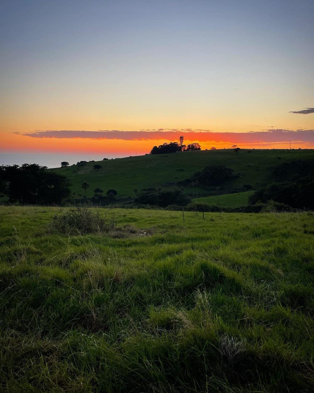 How farmers have hijacked Valentine’s Day post image