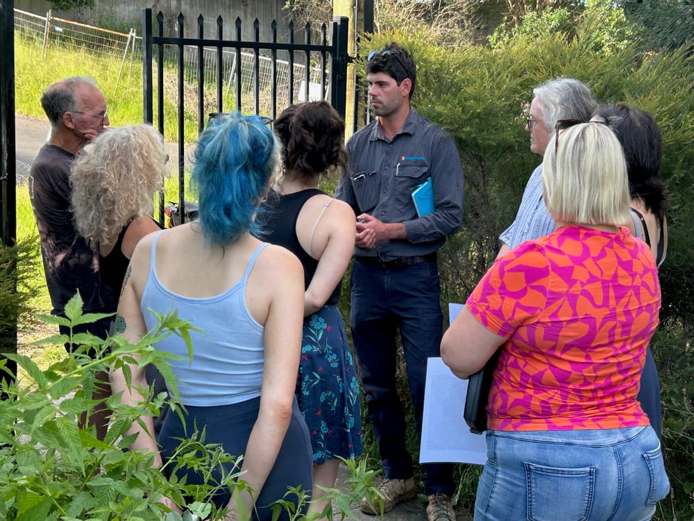 "It's gross, yuk, it hurts" – locals brace for more mass tree removals on Mt Ousley interchange post image