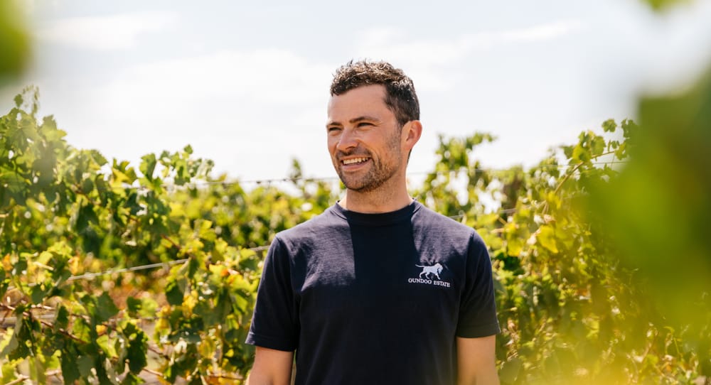 Q&A with a winemaker post image