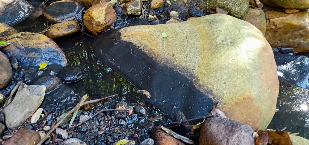 Trouble with holding Peabody to account post image