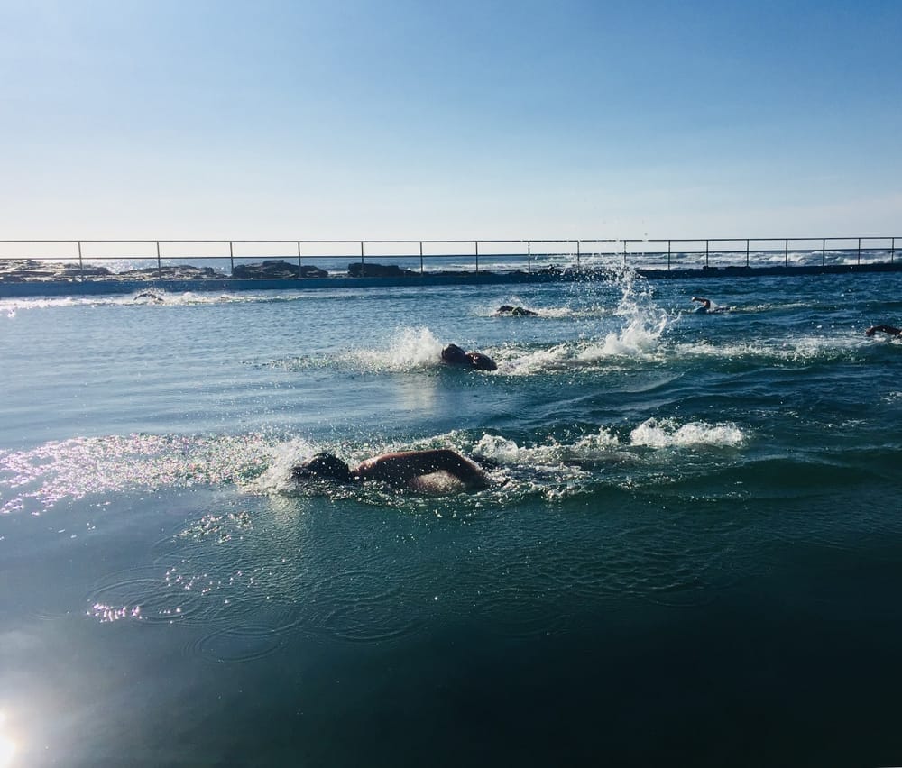 Sea Eels poised for 33rd winter swim season post image