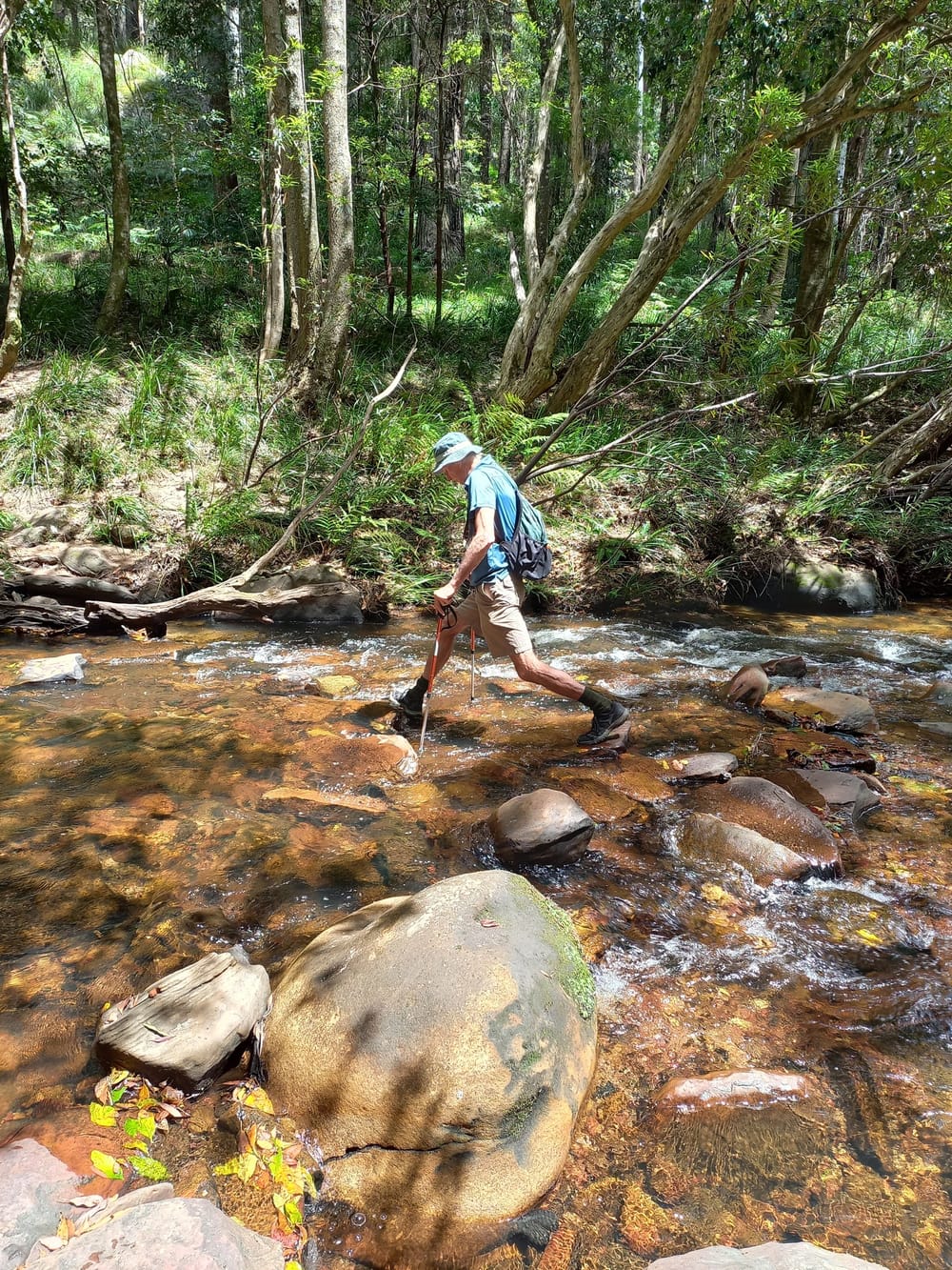 Not all who wander are lost - meet the Ramblers post image