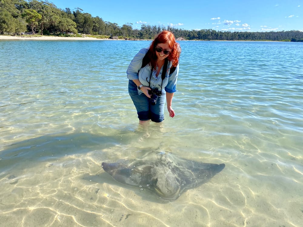 Nature Notes: Rays, bristlebirds and wandering for mental health post image