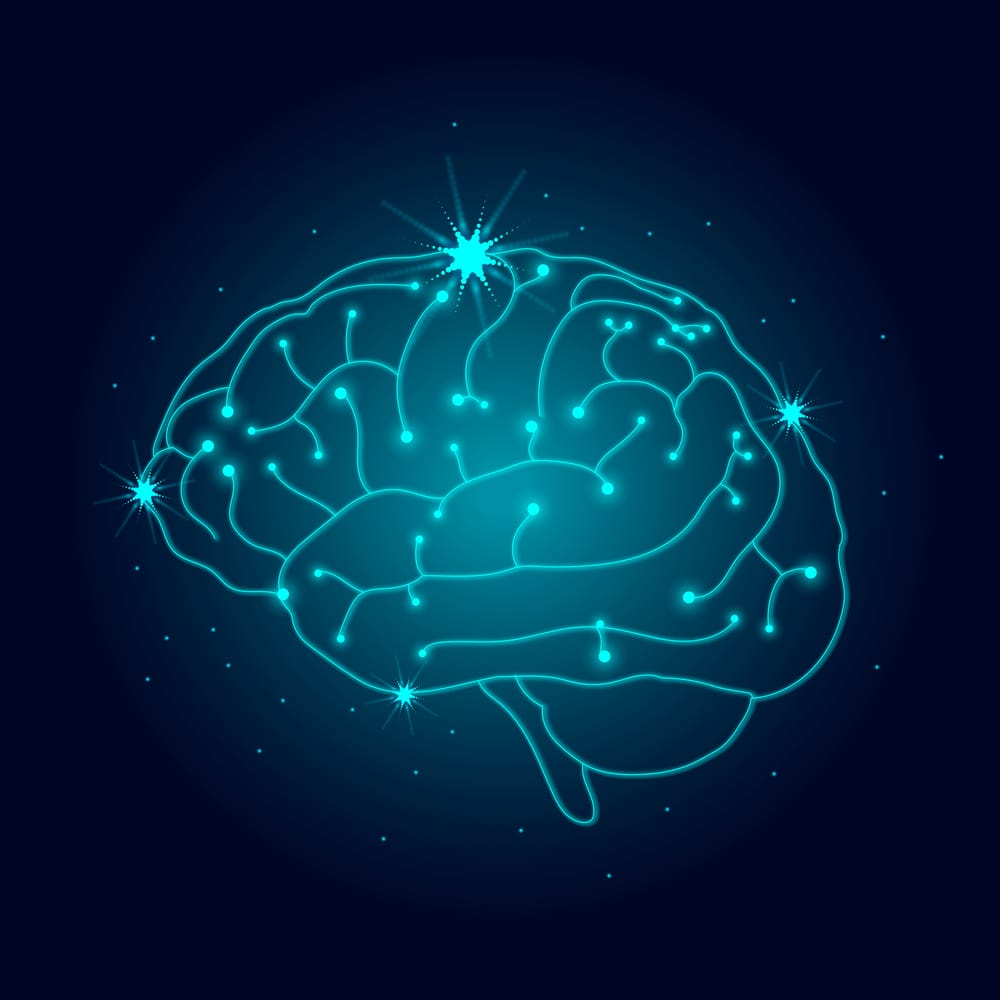 Inside the ‘don’t eat me’ brain: Why we're hardwired for connection post image