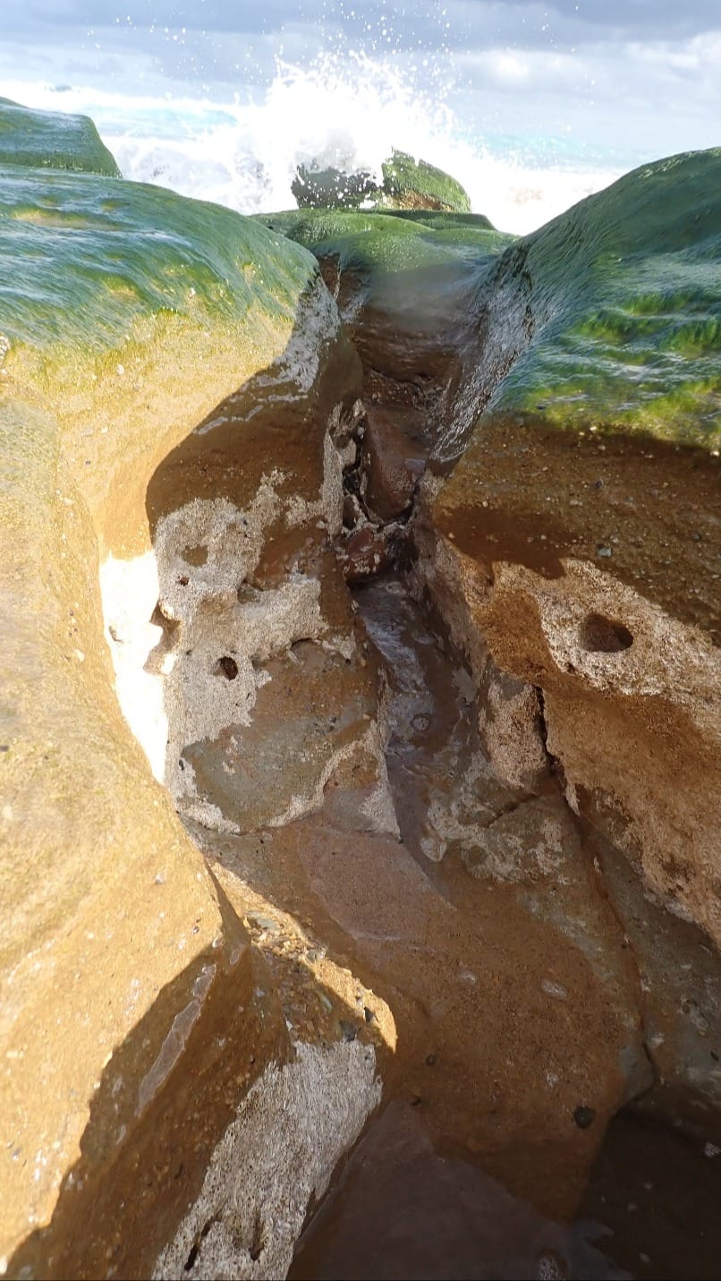 Hello Fish: Erosion exposed ancient worm post image