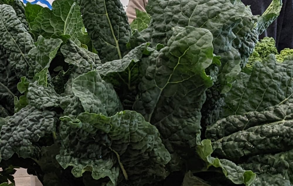 Let’s talk about leafy greens post image