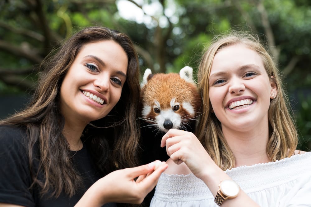 The best Xmas gift you can give! post image