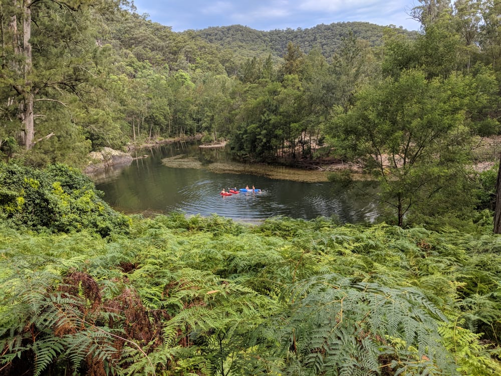 This group rid one Australian river of its privet problem – and strengthened community along the way post image