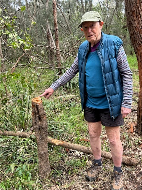 Bush care volunteers outraged by 'disgraceful act of wanton vandalism' post image