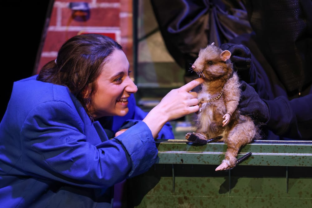 Playwright dishes up David Walliams' original Ratburger, with extra puppets and dancing post image