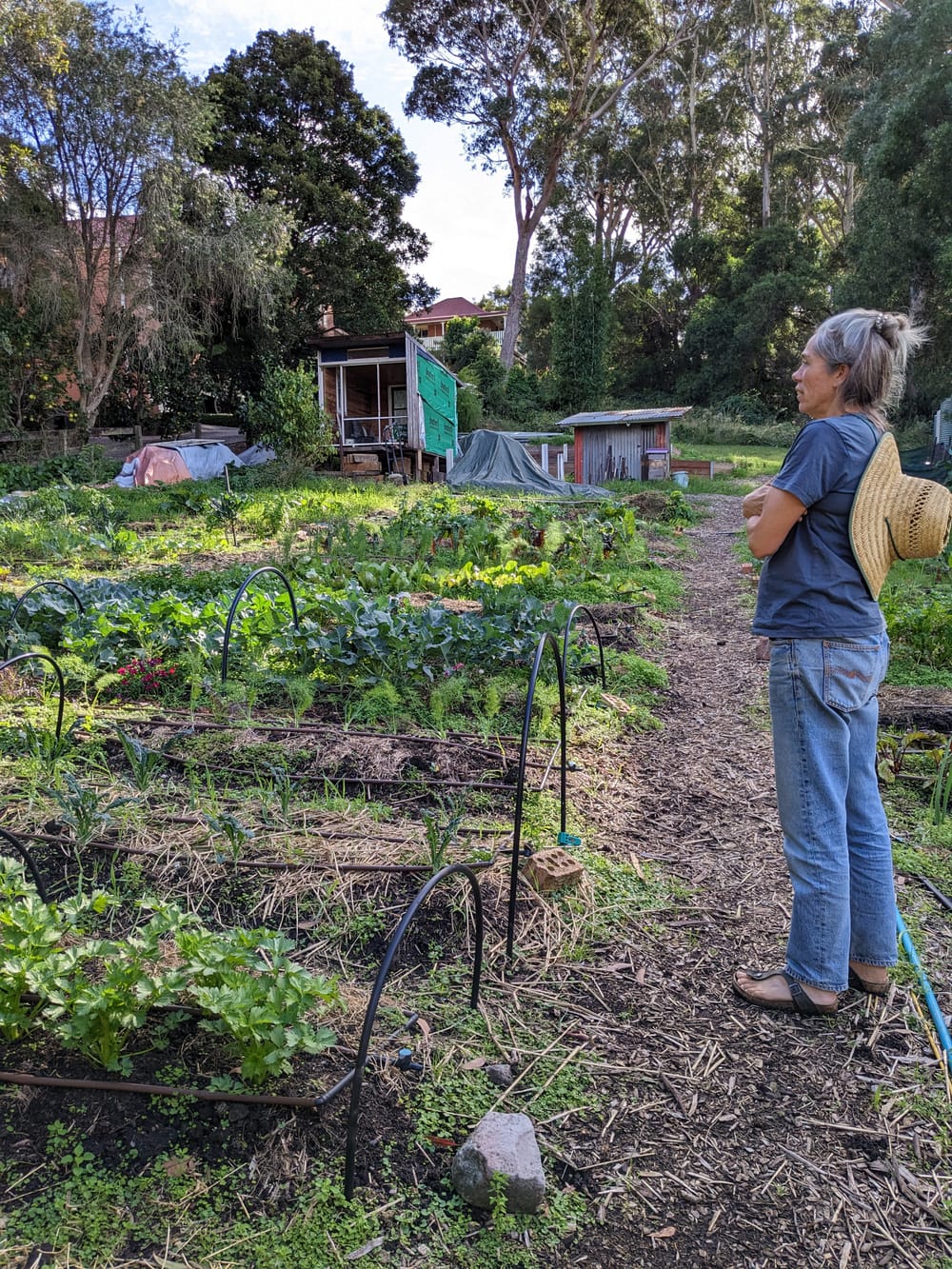 Save food miles, shop local spring produce post image