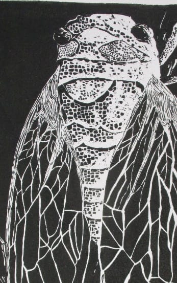 Bulli High exhibits Art Academy work post image