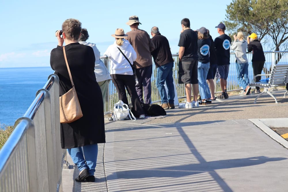 Volunteers have a whale of a time at ORRCA Census post image